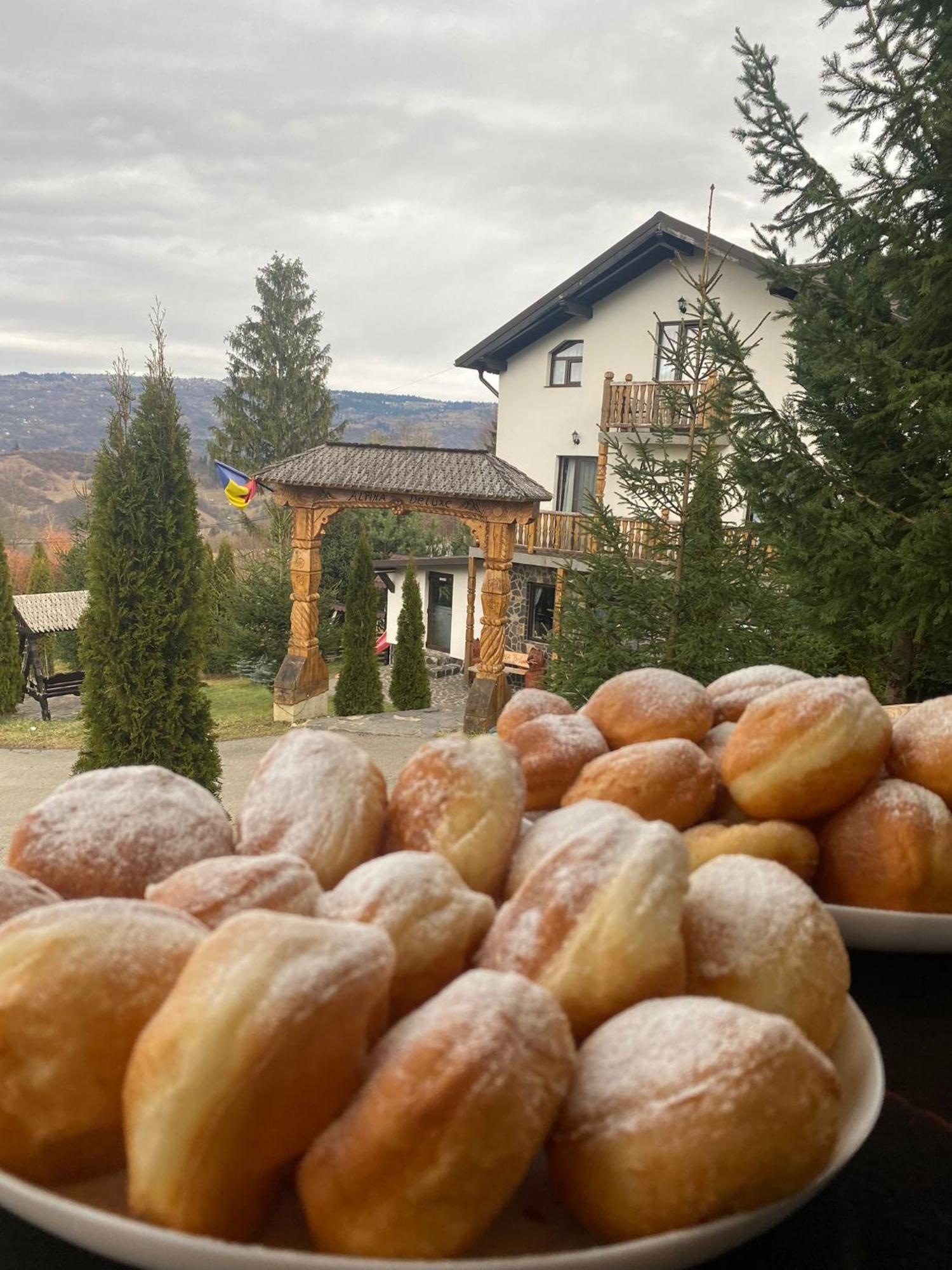 Alpina Panoramic Hotel Moisei Exterior photo
