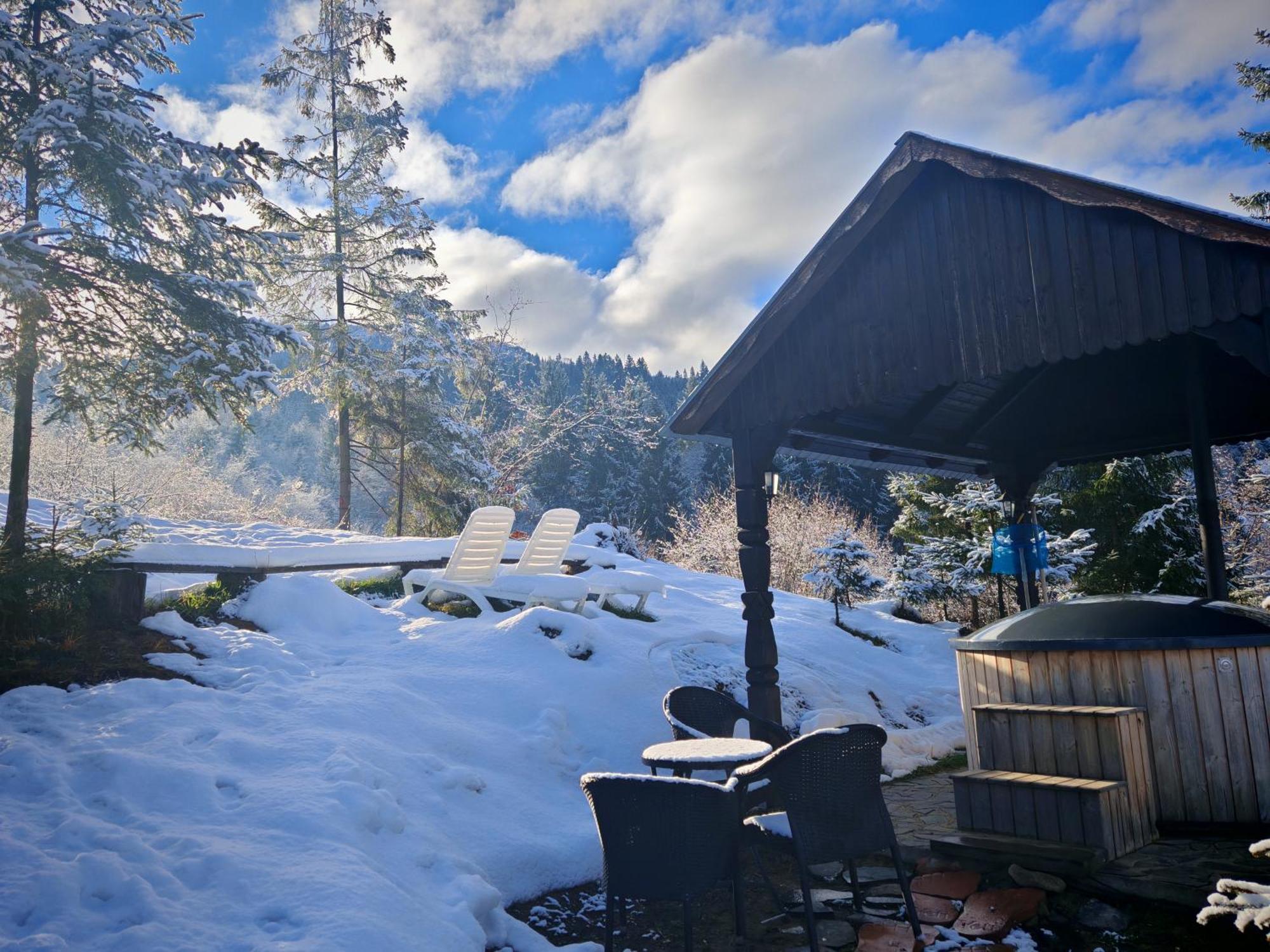 Alpina Panoramic Hotel Moisei Exterior photo